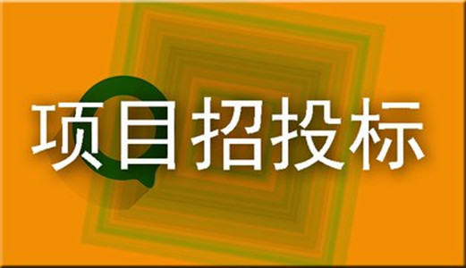关于印发《福建省信息化工程项目招标投标行政监督管理
